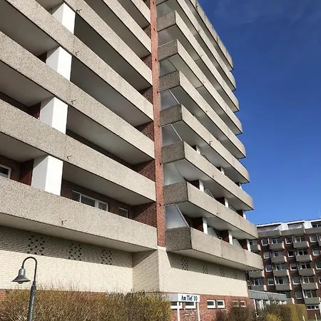 Tief 10 Austernfischer 708 שיליג