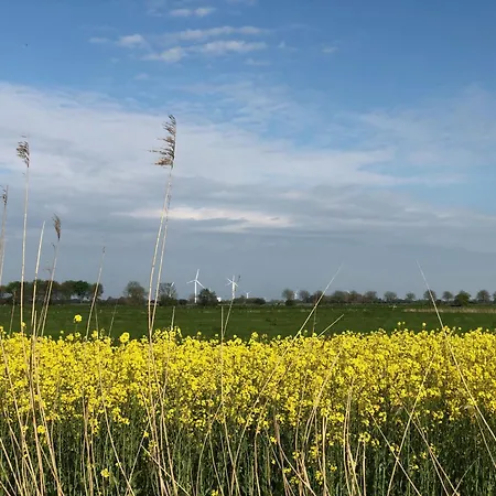 Tief 10 Austernfischer 708 Apartmán Schillig