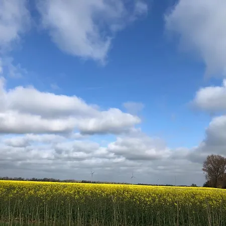 Tief 10 Austernfischer 708 *