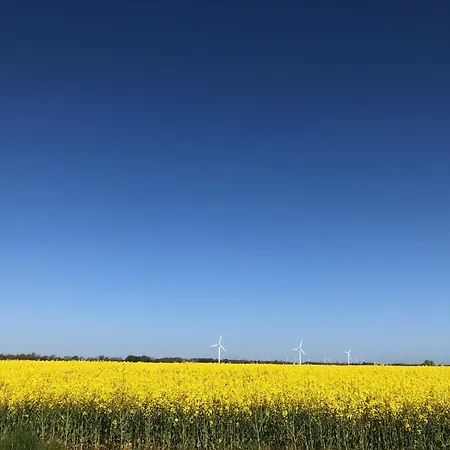 Tief 10 Austernfischer 708 דירה שיליג