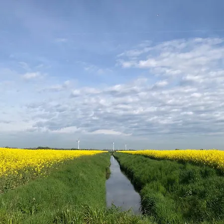 Tief 10 Austernfischer 708 *