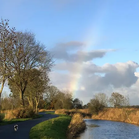 Tief 10 Austernfischer 708 דירה שיליג