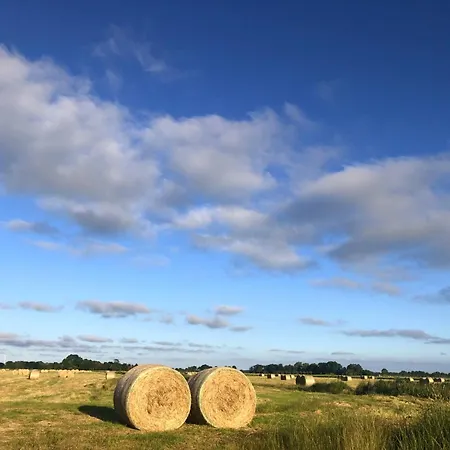 Tief 10 Austernfischer 708 *