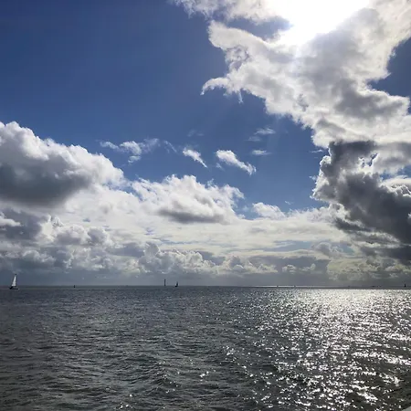 Tief 10 Austernfischer 708 Apartmán