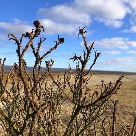 דירה Tief 10 Austernfischer 708