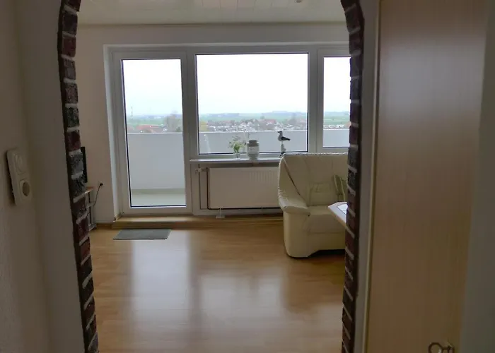 Tief 10 Austernfischer 708 Daire Schillig