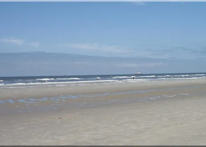 Tief 10 Austernfischer 708