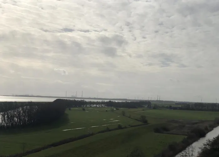 Tief 10 Austernfischer 708