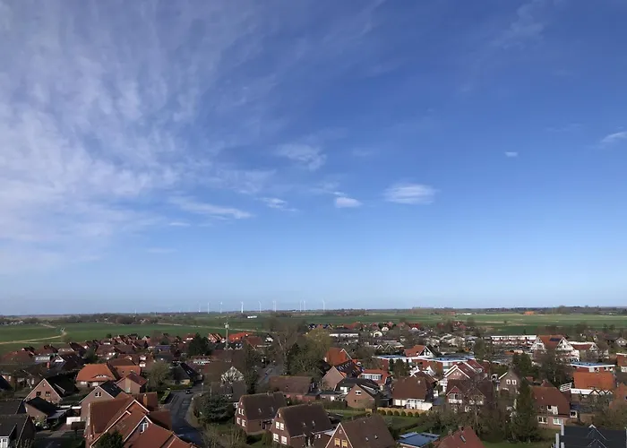 Tief 10 Austernfischer 708 Daire *