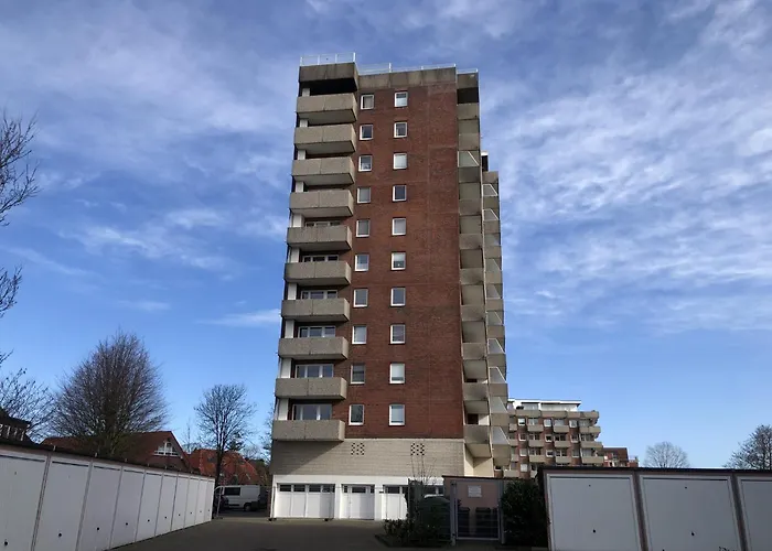 Tief 10 Austernfischer 708 Daire