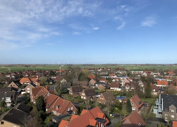 Tief 10 Austernfischer 708 Schillig