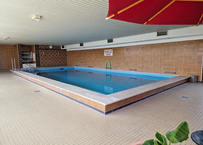 Tief 10 Austernfischer 708 Daire