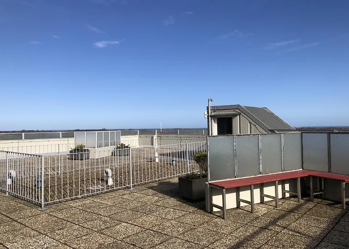 Tief 10 Austernfischer 708 Daire