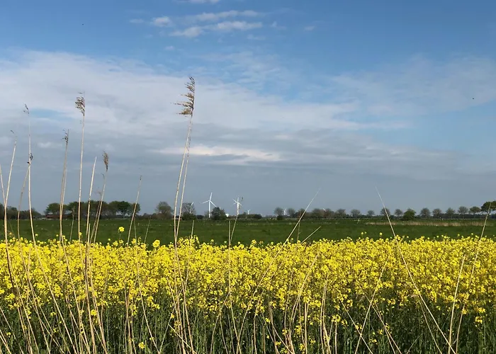 Tief 10 Austernfischer 708 Daire Schillig