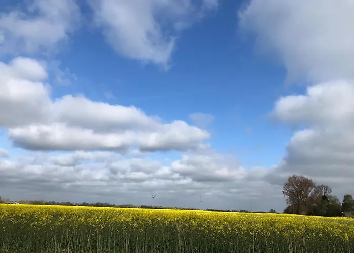 Tief 10 Austernfischer 708 *