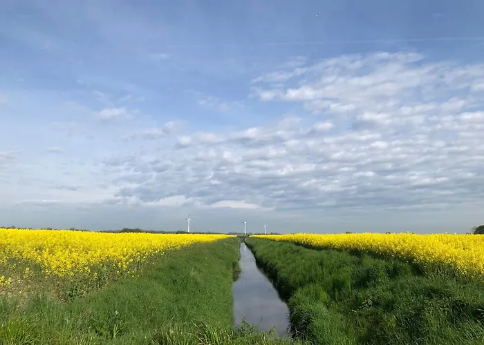 Tief 10 Austernfischer 708 *