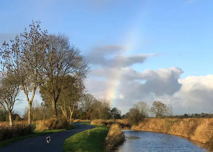 Tief 10 Austernfischer 708 Daire Schillig