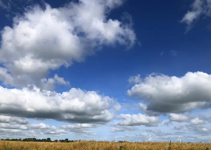 Daire Tief 10 Austernfischer 708 *