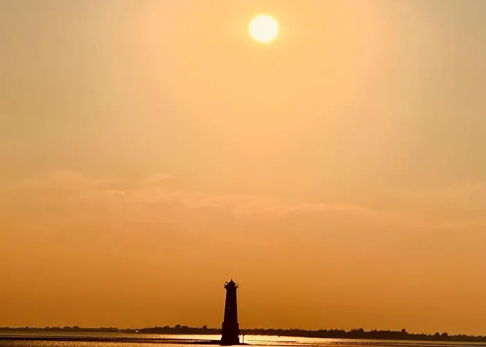 Tief 10 Austernfischer 708 Daire *