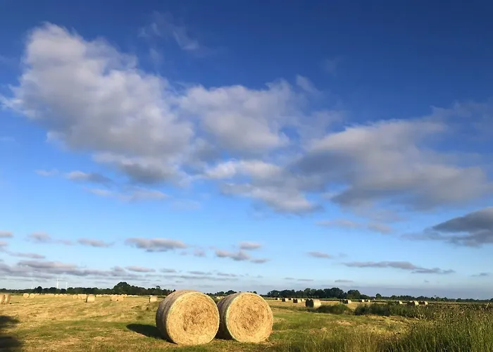 Tief 10 Austernfischer 708 *