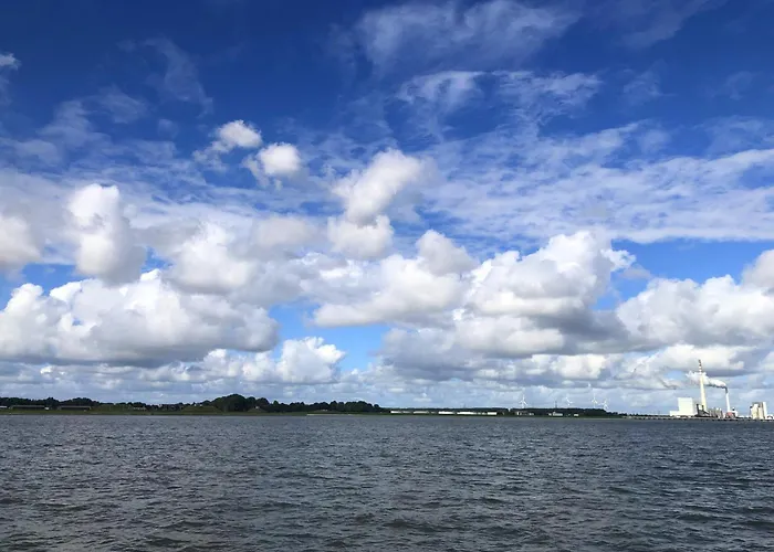 Tief 10 Austernfischer 708