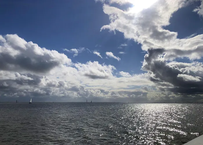 Tief 10 Austernfischer 708 Daire