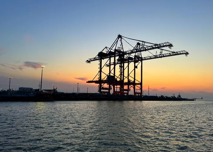 Daire Tief 10 Austernfischer 708 Schillig