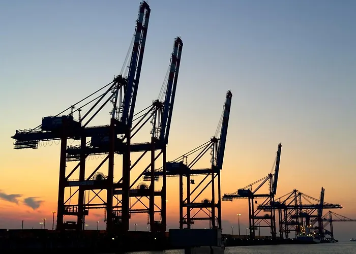 Tief 10 Austernfischer 708 Daire *