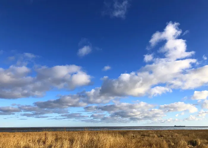 Tief 10 Austernfischer 708 Daire