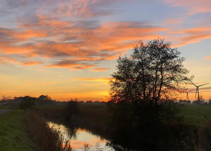 Tief 10 Austernfischer 708 Daire Schillig