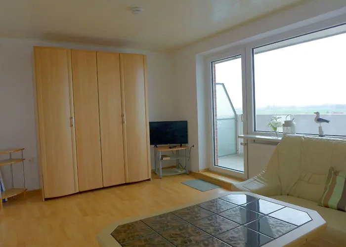 Tief 10 Austernfischer 708 Daire