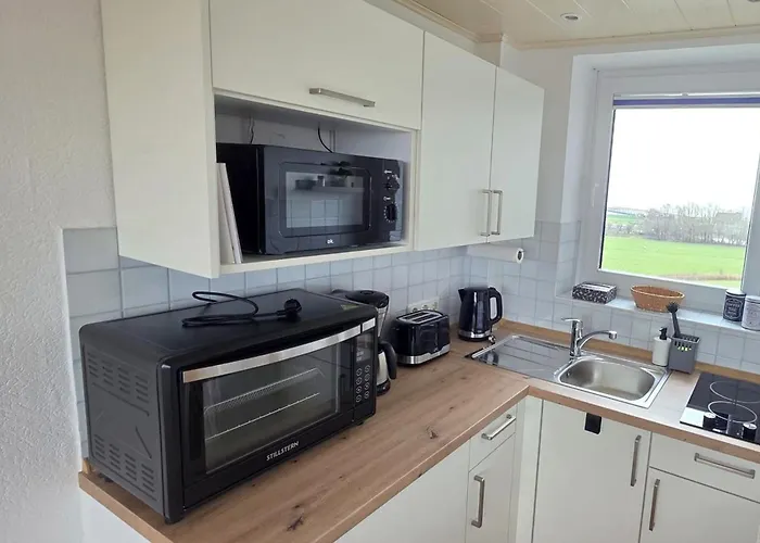 Tief 10 Austernfischer 708 Daire Schillig